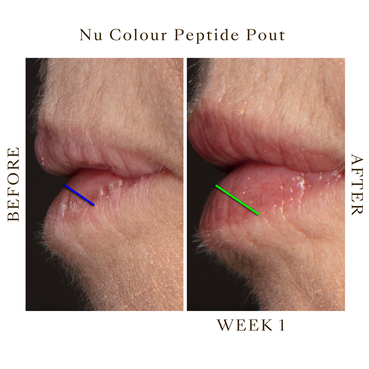 Nu Colour Peptide Pout | Nu Skin | NuSkin