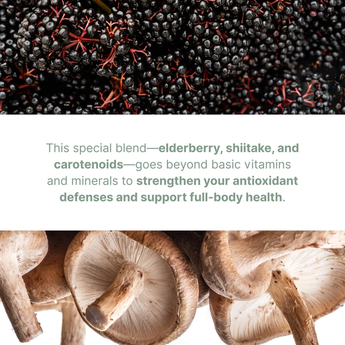 Pharmanex Lifepak Elements — Your Daily Foundation for Everyday Wellness