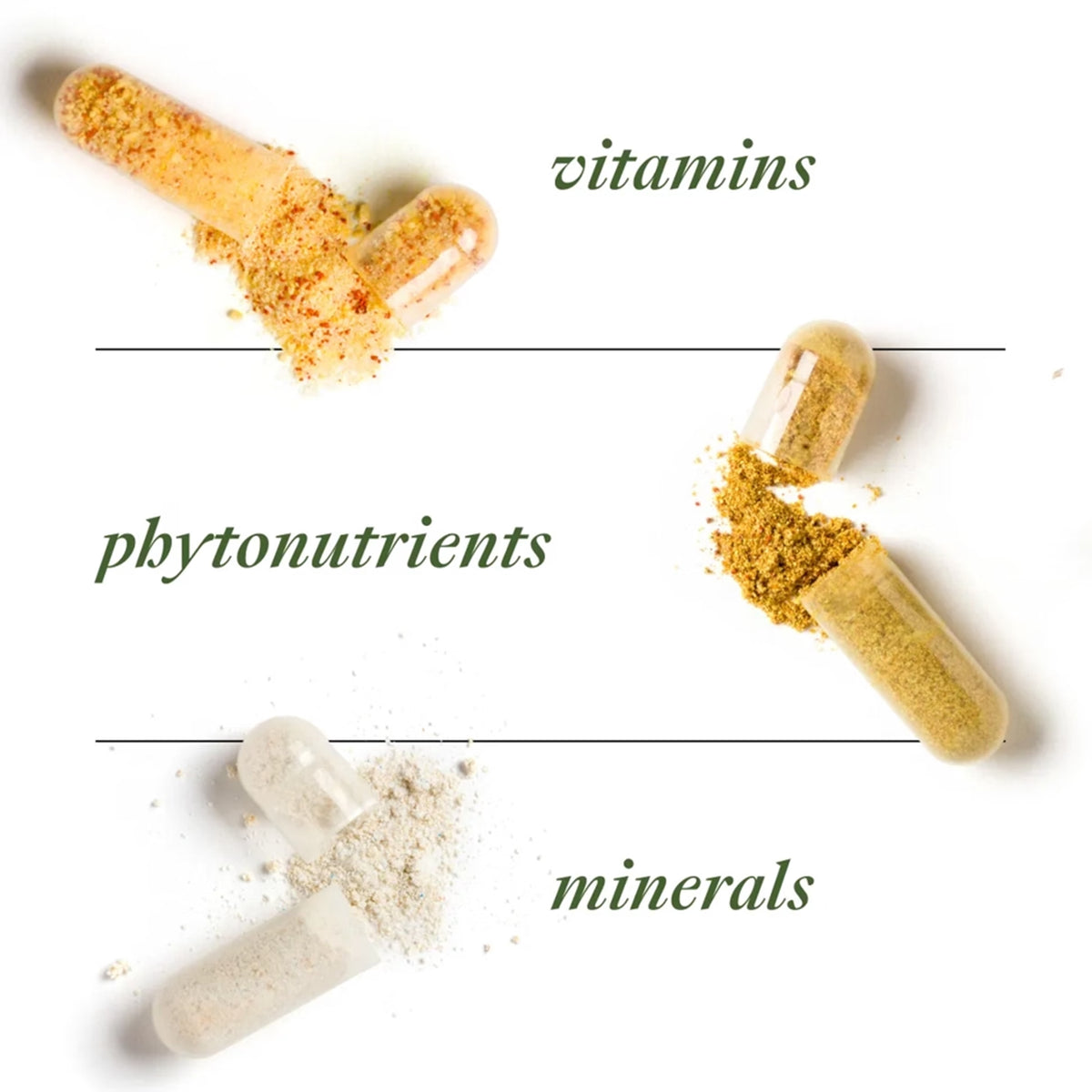 LifePak Key  List