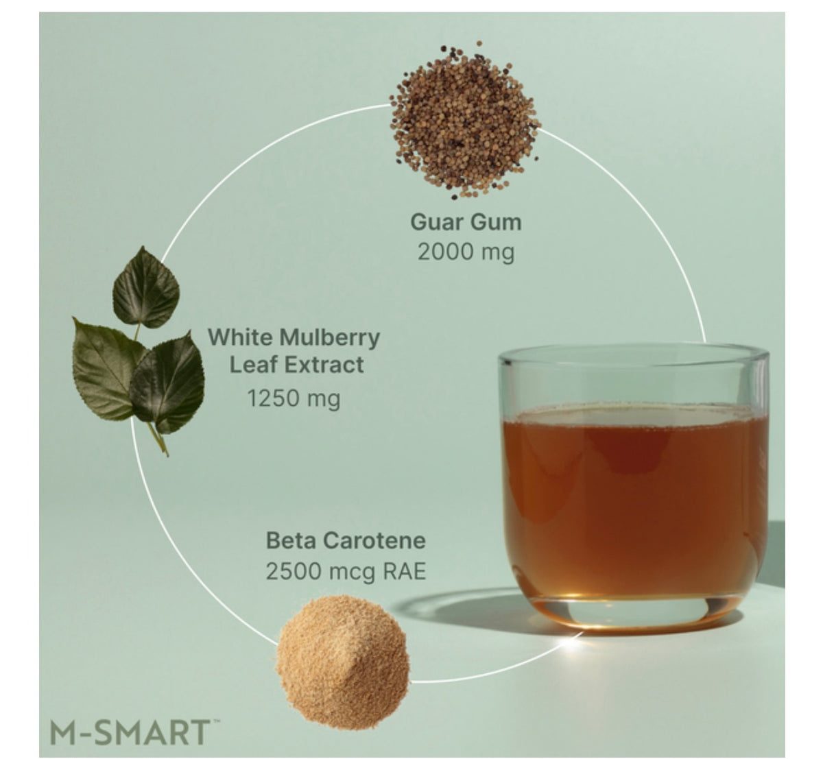 M-Smart Daily Fiber + Plant-Based Wellness Support Ingredients