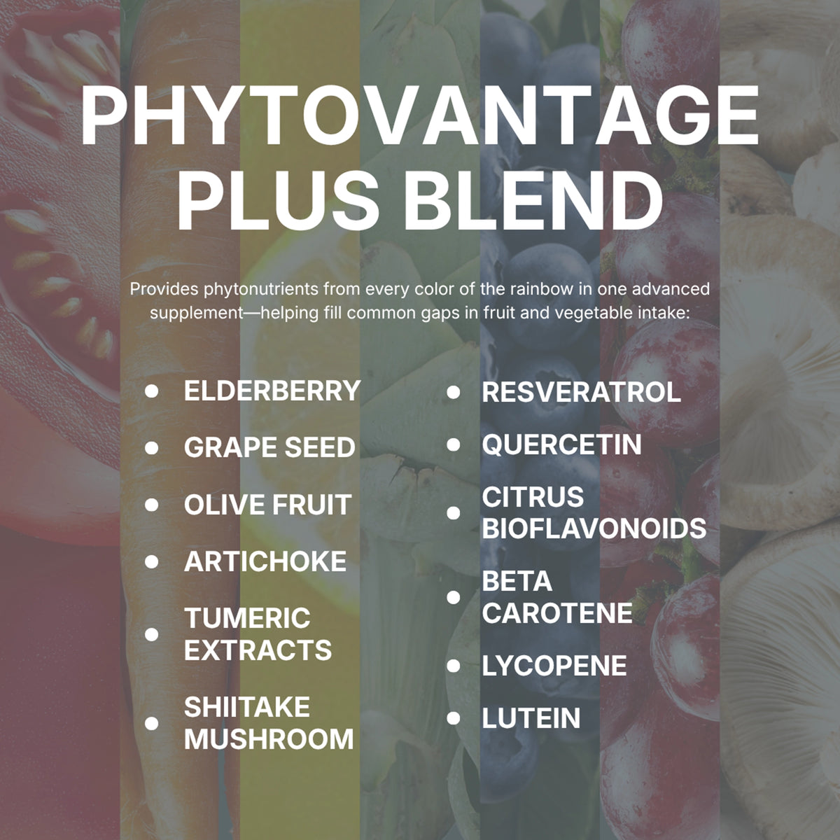 PhytoVantage Plus antioxidant blend in LifePak multivitamin